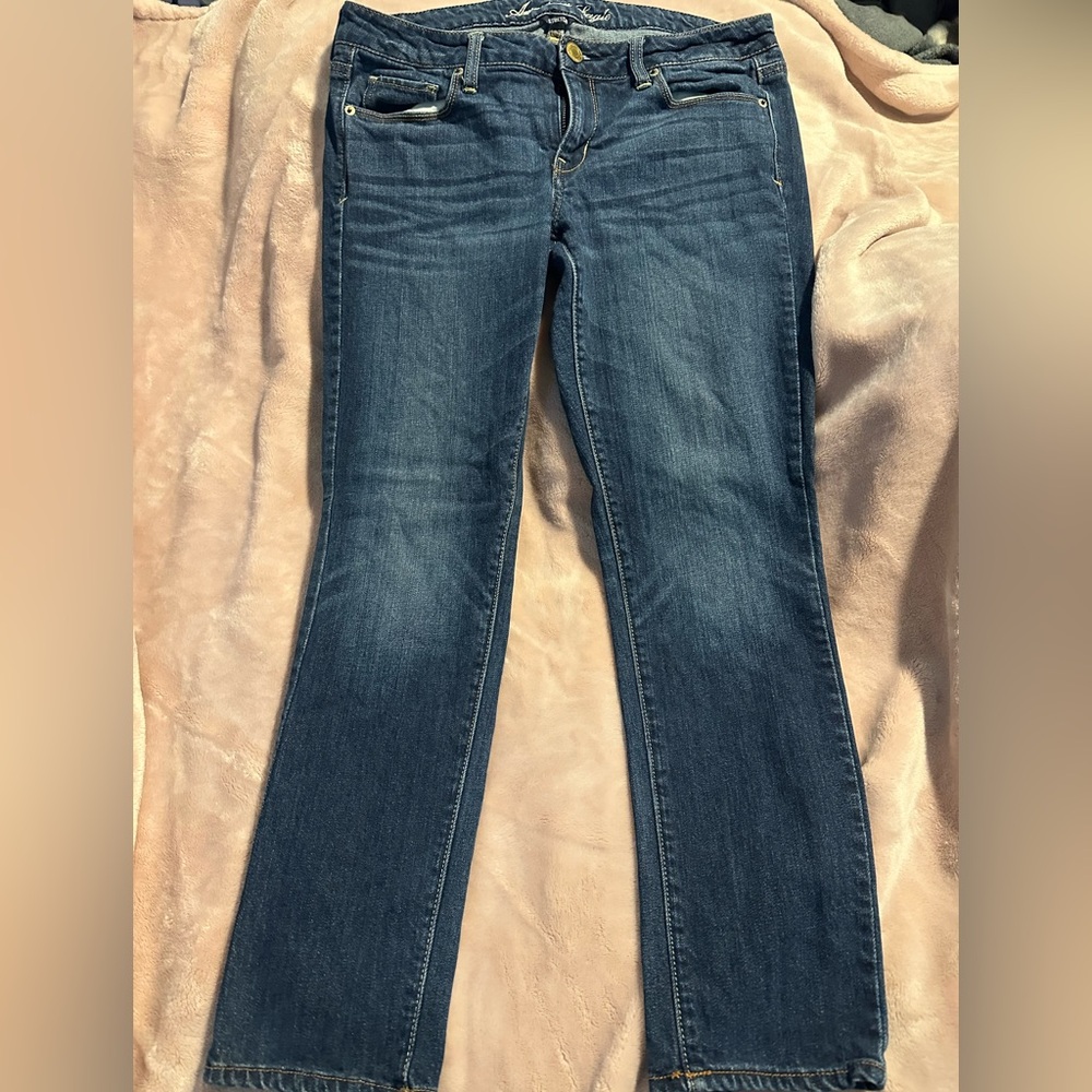 American Eagle Outfitters Dark Blue Skinny Jeans
